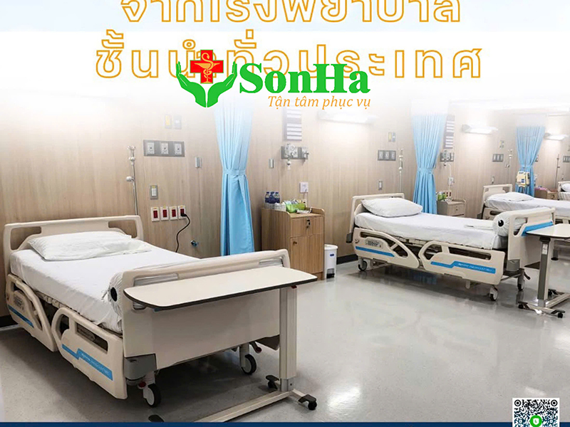 Giường Paramount Bed Qualitas